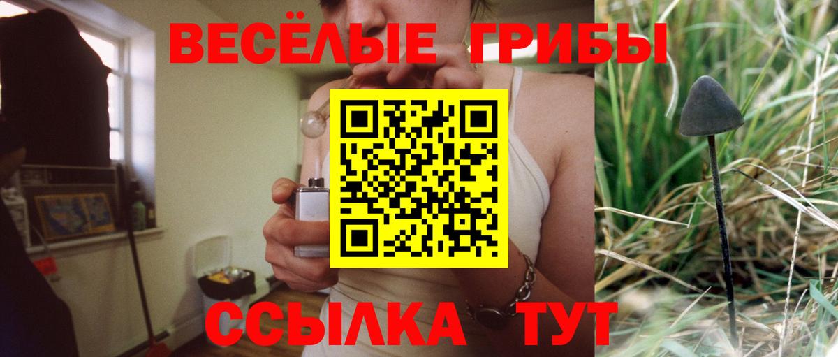 Псилоцибиновые грибы прущие грибы Сибай